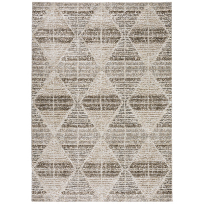 Dalyn Rugs Carmona  Driftwood  Transitional
