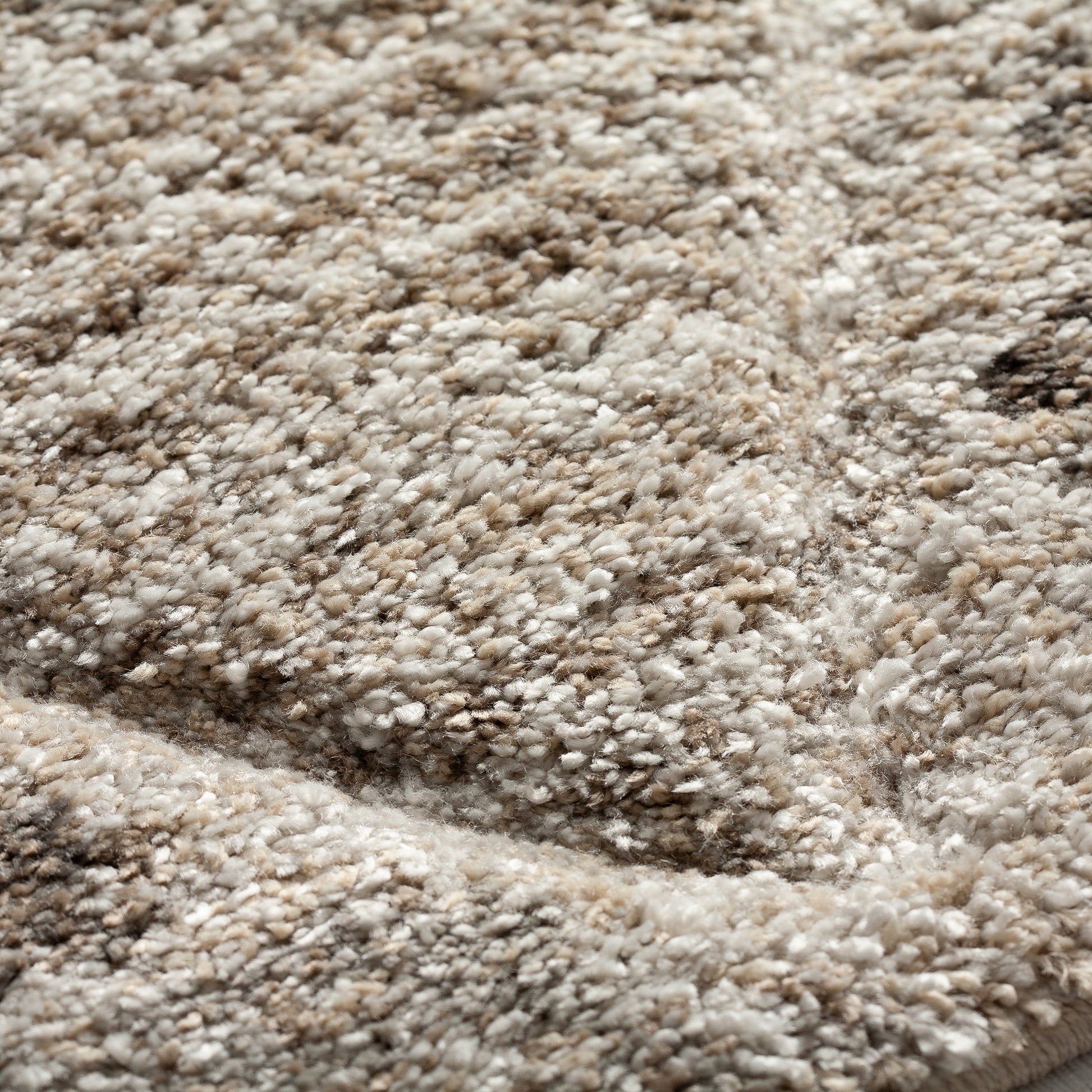 Dalyn Rugs Carmona  Driftwood  Transitional