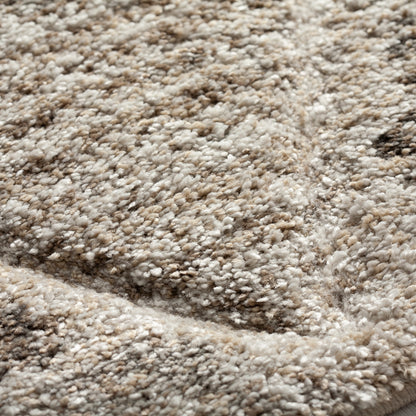 Dalyn Rugs Carmona  Driftwood  Transitional