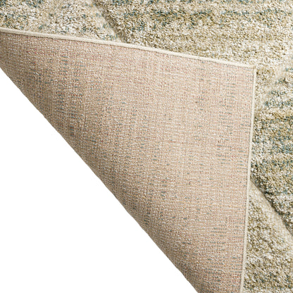 Dalyn Rugs Carmona  Mist  Transitional