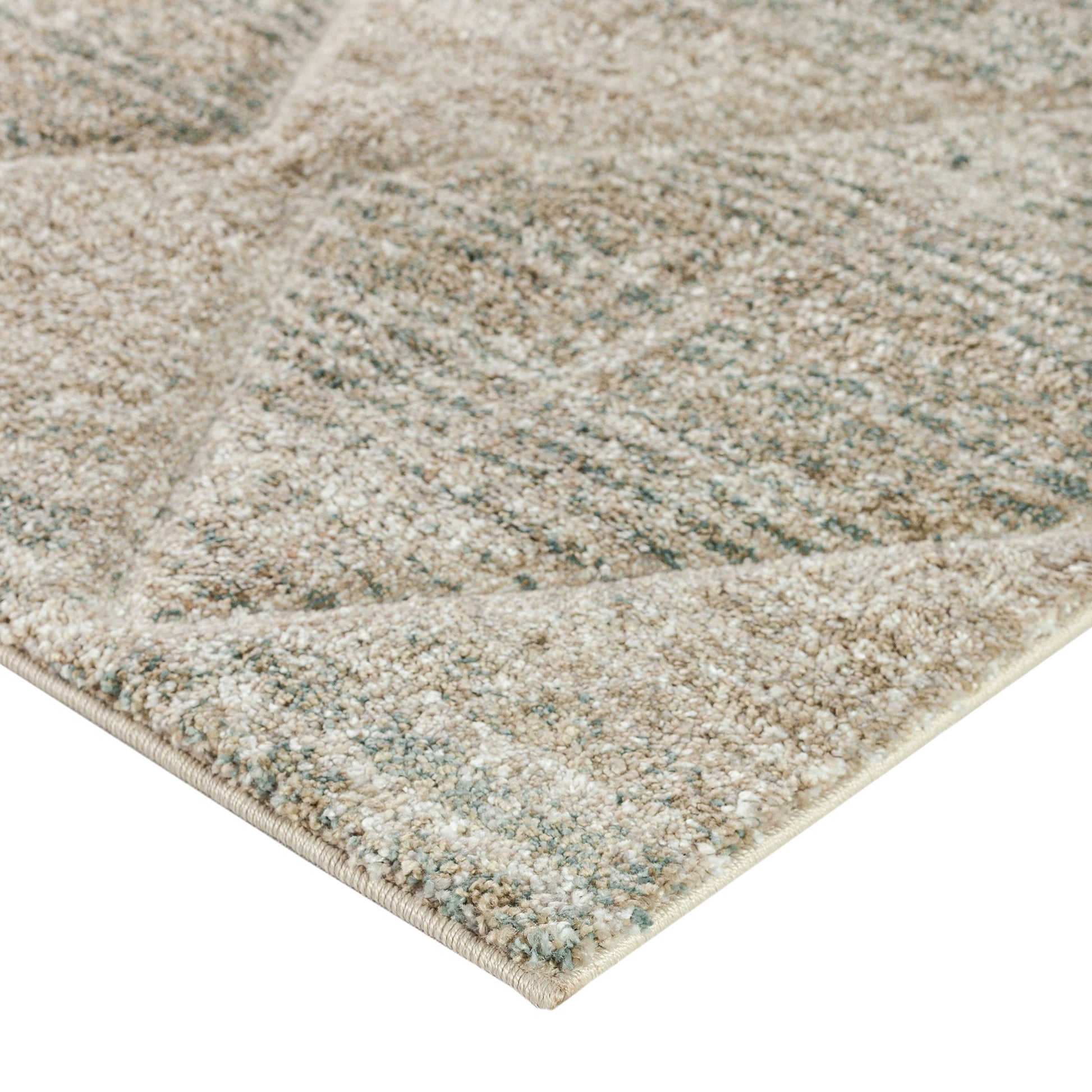 Dalyn Rugs Carmona  Mist  Transitional