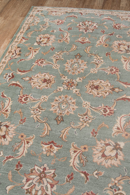 Momeni Colorado  Sage  Traditional