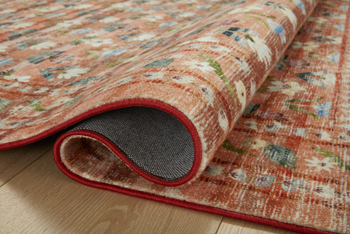 Rifle Paper Co. x Loloi Courtyard  Terracotta  Contemporary