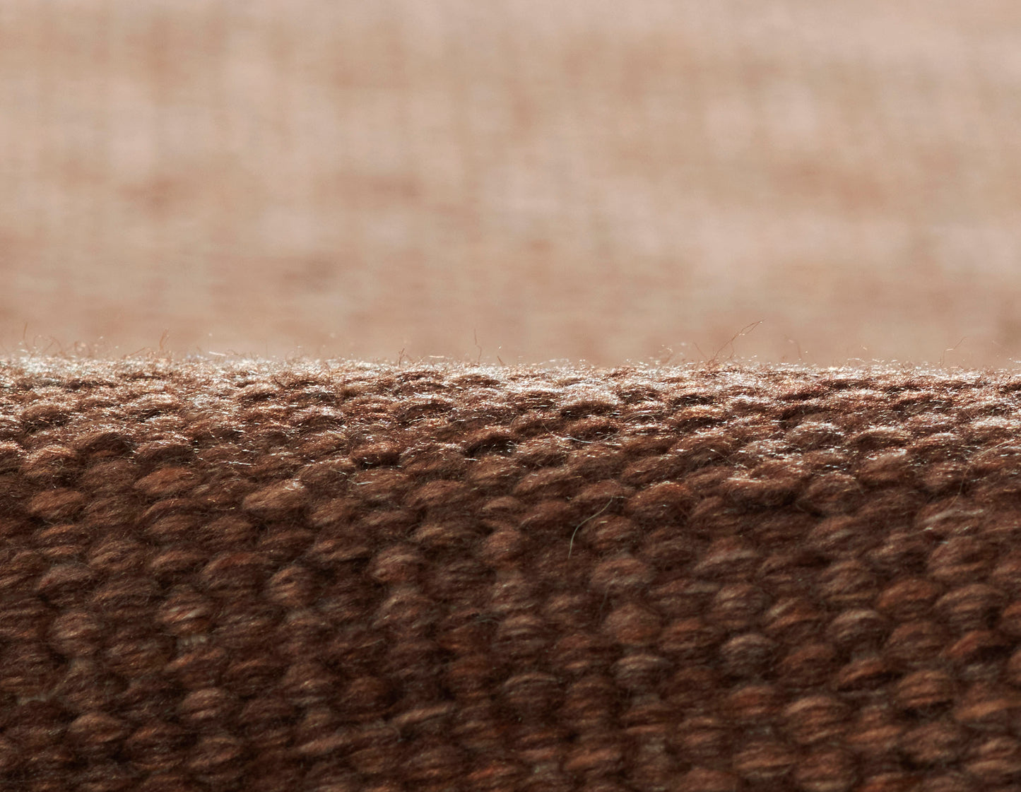 Momeni Cove  Brown  Contemporary