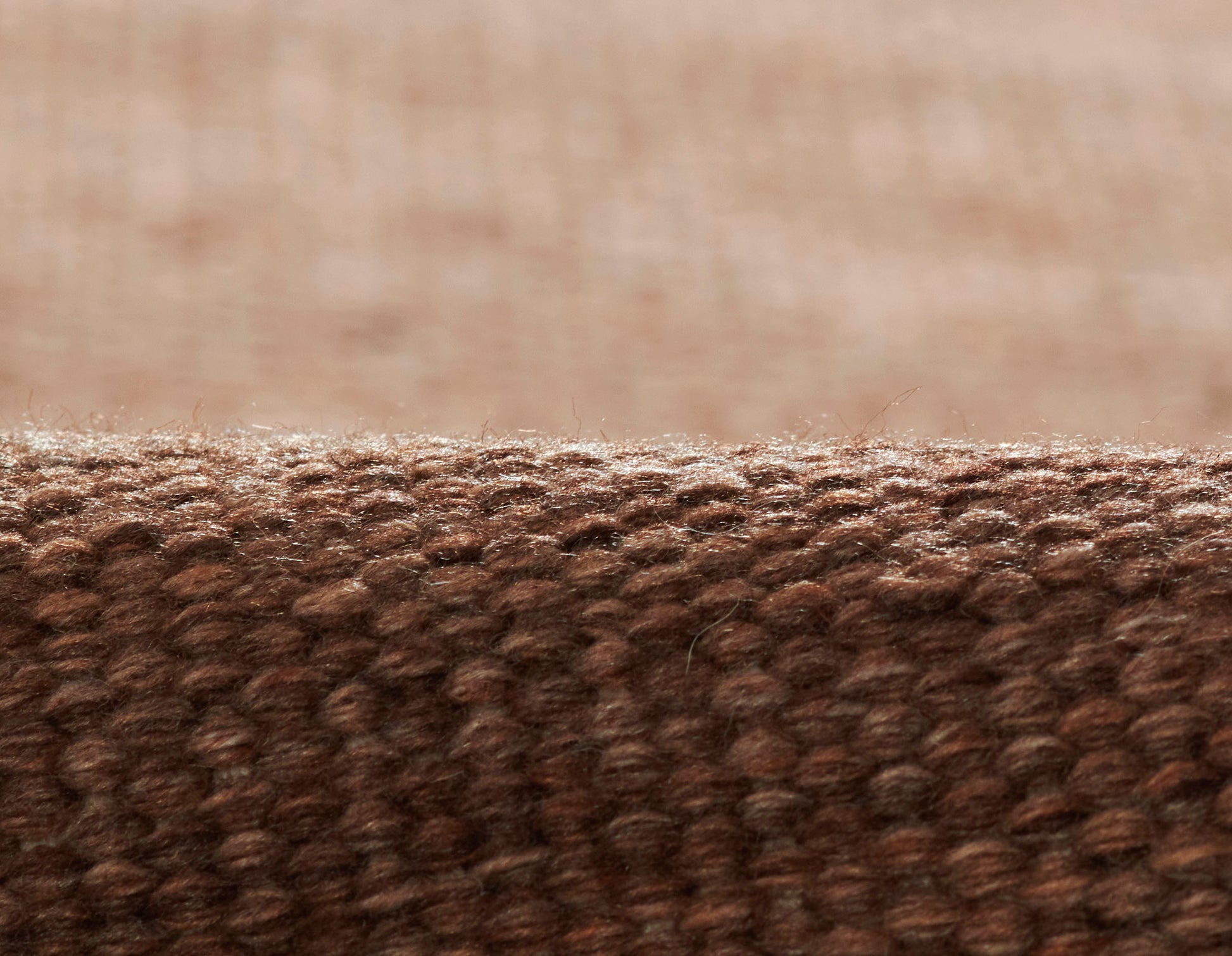 Momeni Cove  Brown  Contemporary