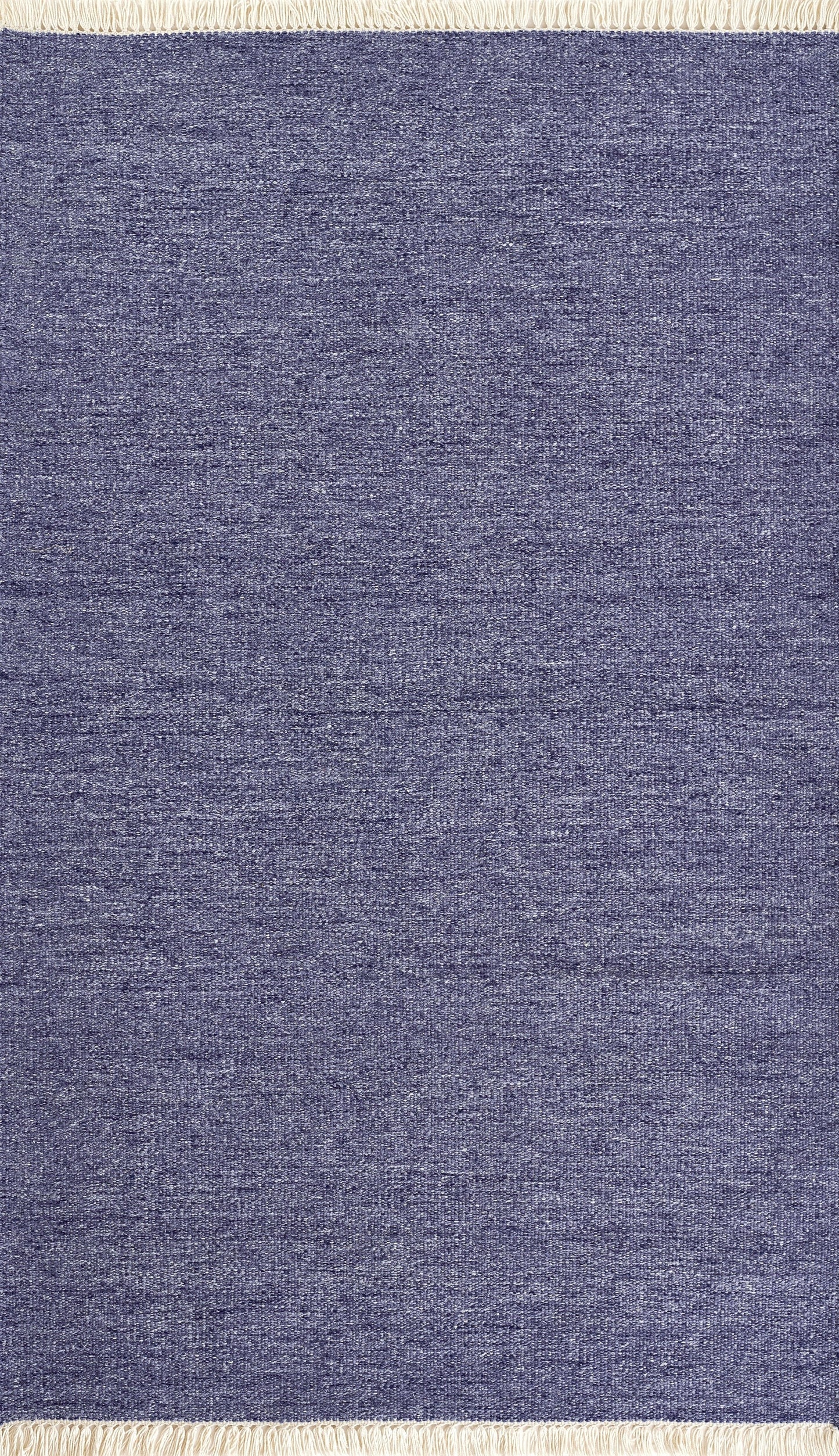 Momeni Cove  Demin  Contemporary