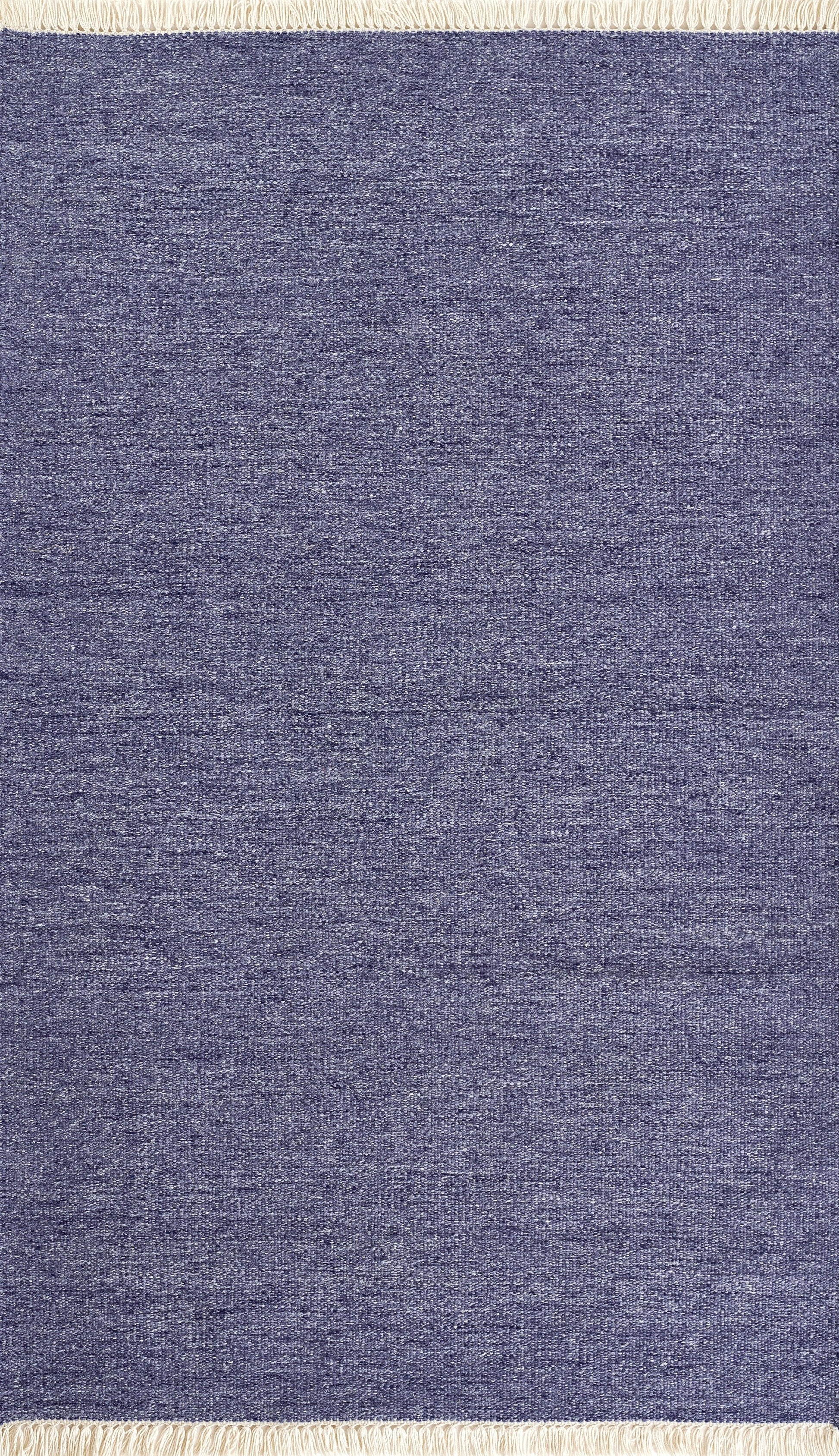 Momeni Cove  Demin  Contemporary