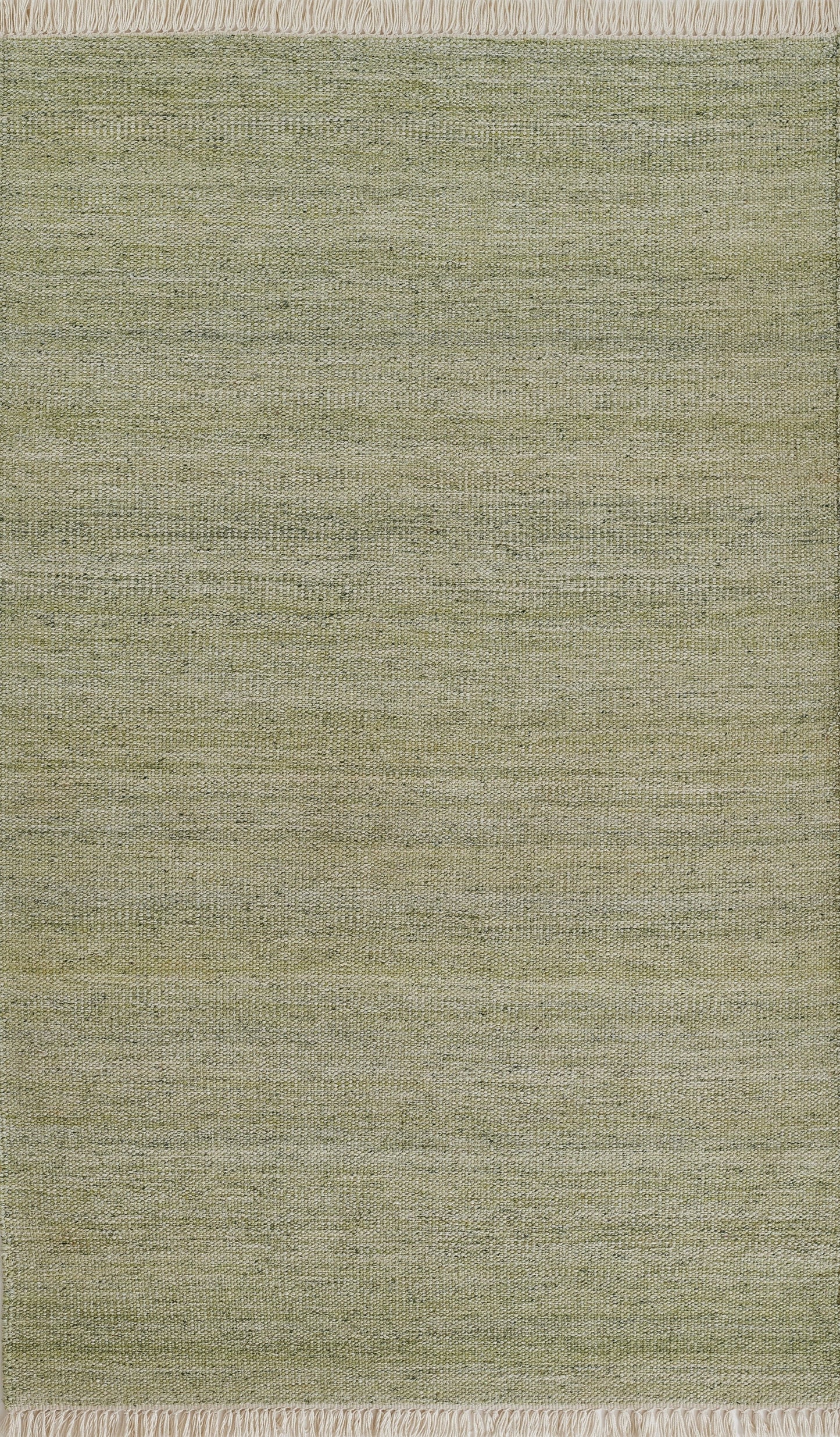 Momeni Cove  Green  Contemporary