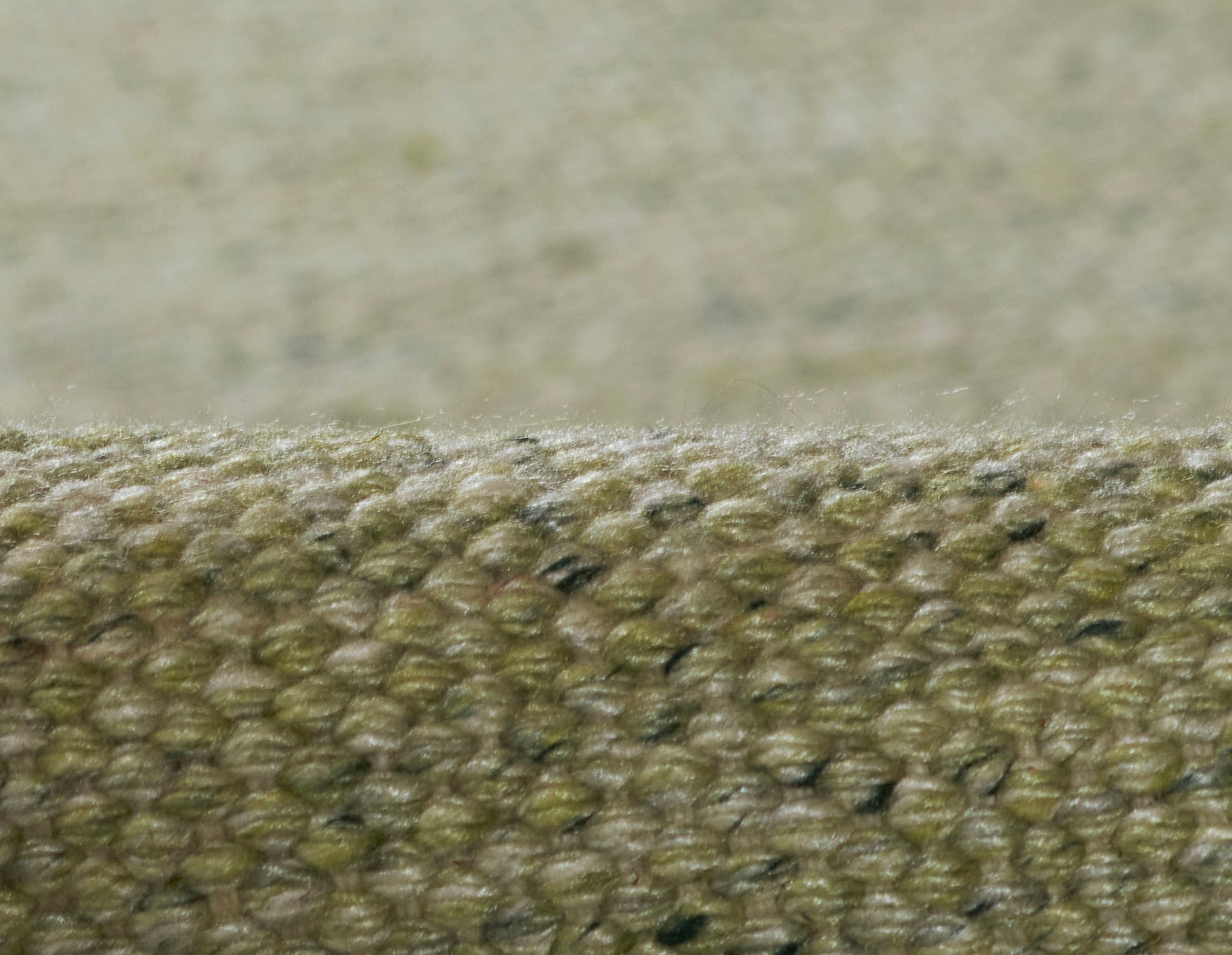 Momeni Cove  Green  Contemporary