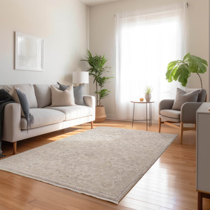Dalyn Rugs Cyprus  Gray  Traditional