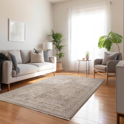 Dalyn Rugs Cyprus  Gray  Traditional