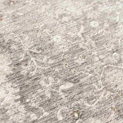 Dalyn Rugs Cyprus  Aloe  Traditional