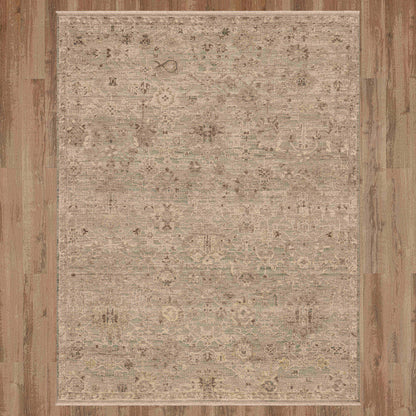 Karastan Sundar  Gray  Traditional