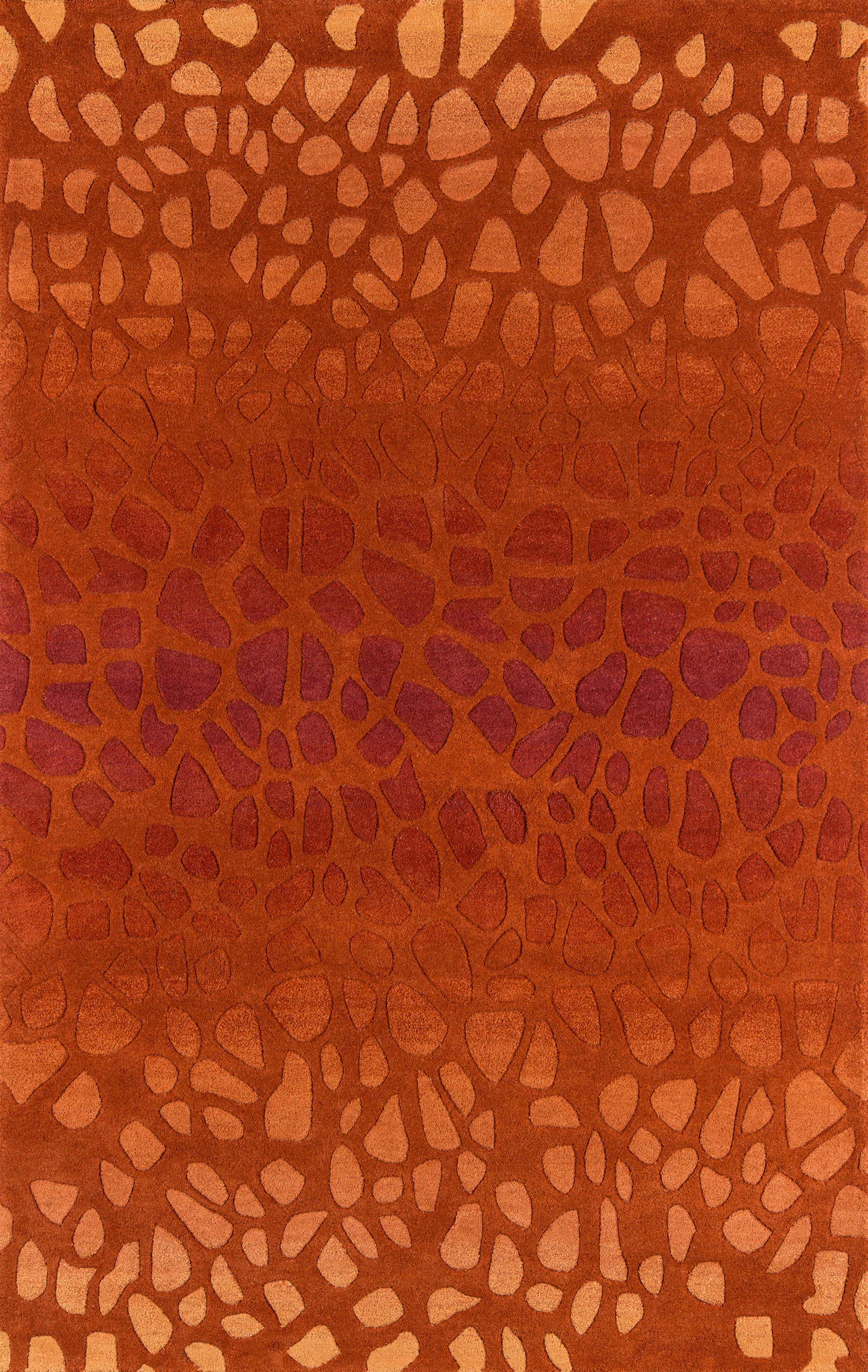 Momeni Delhi  Paprika  Contemporary