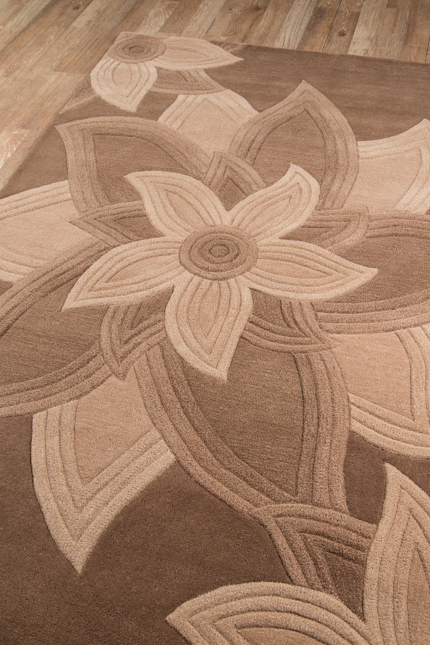 Momeni Delhi  Mocha  Transitional