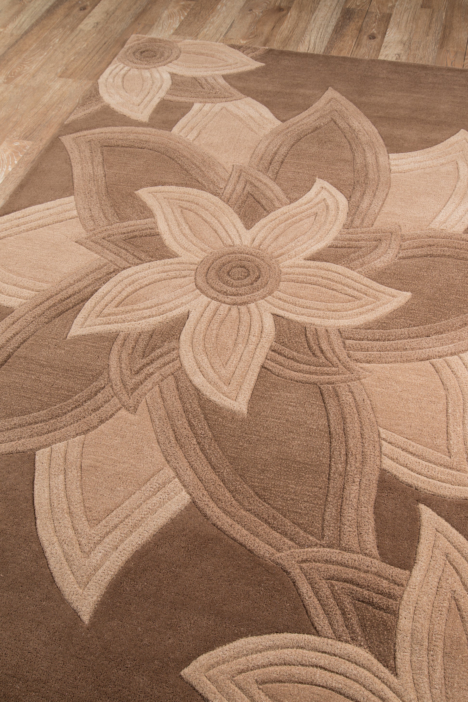 Momeni Delhi  Mocha  Transitional