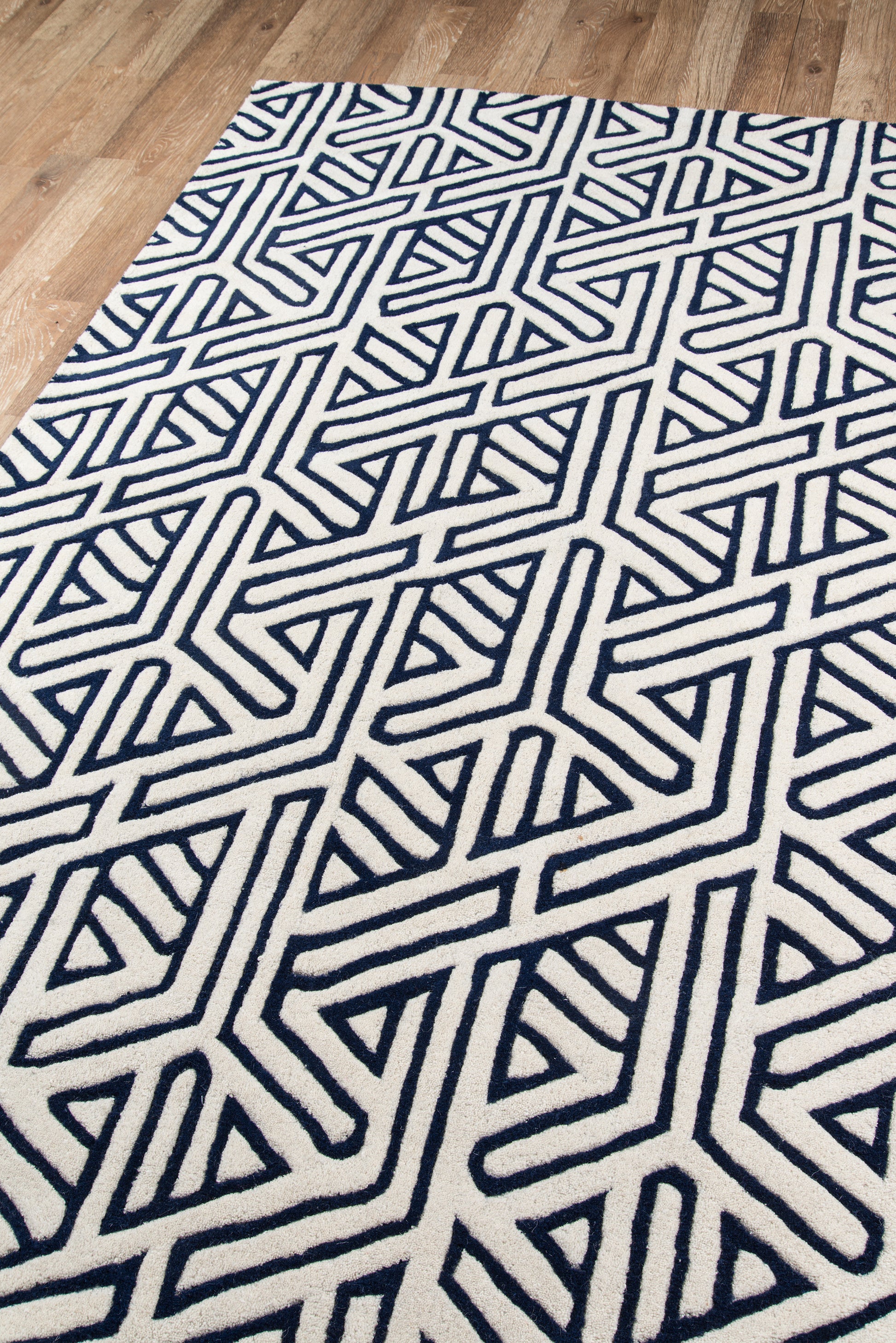 Momeni Delhi  Navy  Contemporary