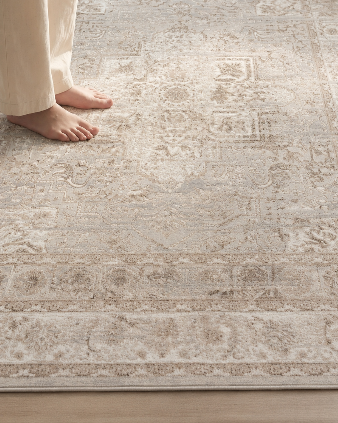 Rhodes RR6 Taupe Style: Close-up of a soft taupe distressed rug.