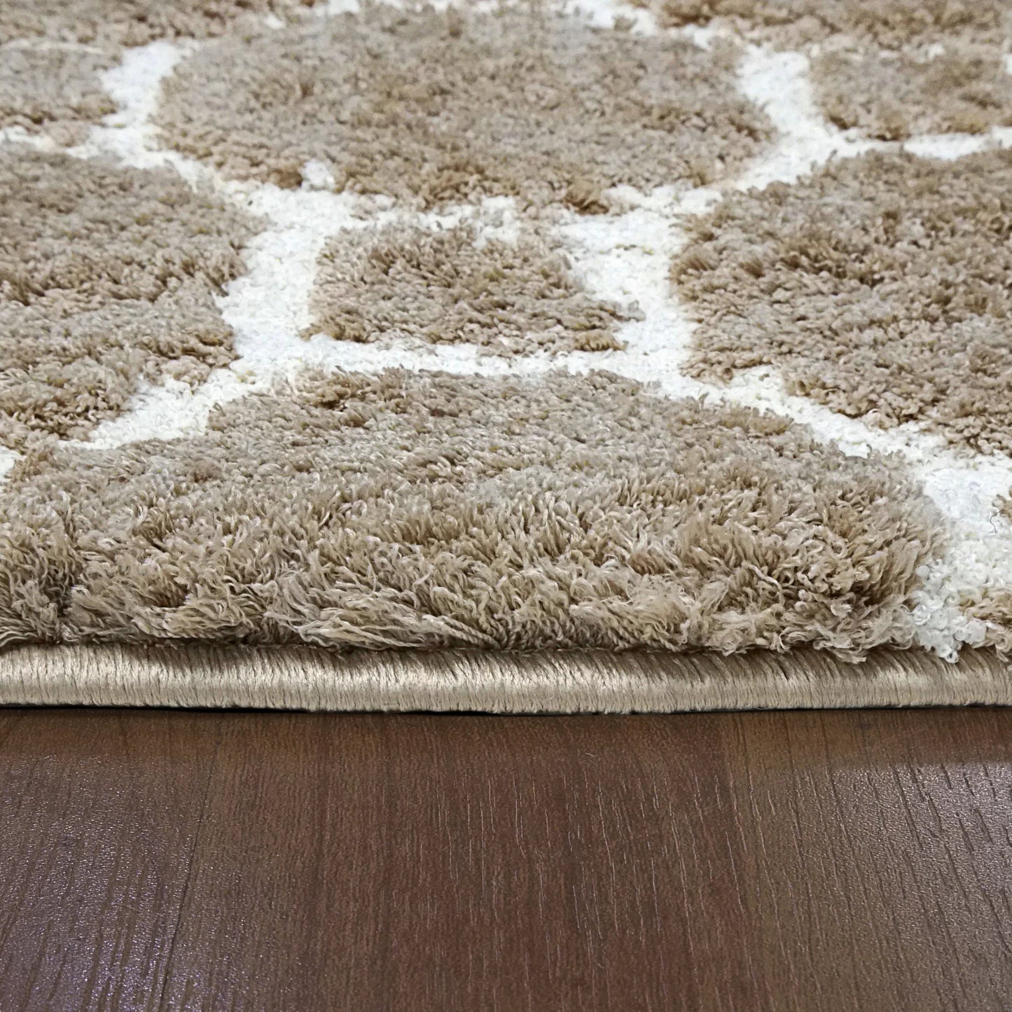 Dynamic Rugs Silky Shag 5903 Beige Contemporary Machine-Made Rug