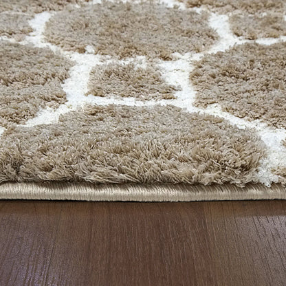 Dynamic Rugs Silky Shag 5903 Beige Contemporary Machine-Made Rug
