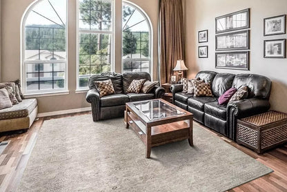 Dynamic Rugs Dharma 12043 Beige Multi Transitional Machine-Made Rug