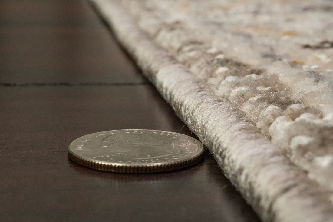 Dynamic Rugs Calypso 13501 Ivory Grey Traditional Machine-Made Rug