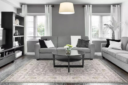 Dynamic Rugs Calypso 13507 Ivory Grey Transitional Machine-Made Rug