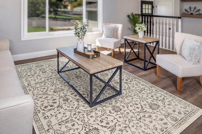Dynamic Rugs Bailey 3880 Ivory Grey Transitional Machine-Made Rug