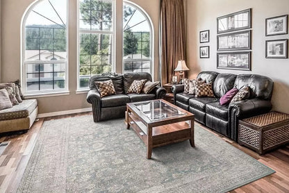 Dynamic Rugs Dharma 12040 Light Blue Beige Transitional Machine-Made Rug