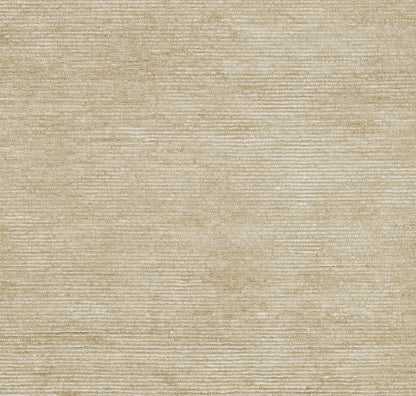Momeni Everett  Taupe  Contemporary