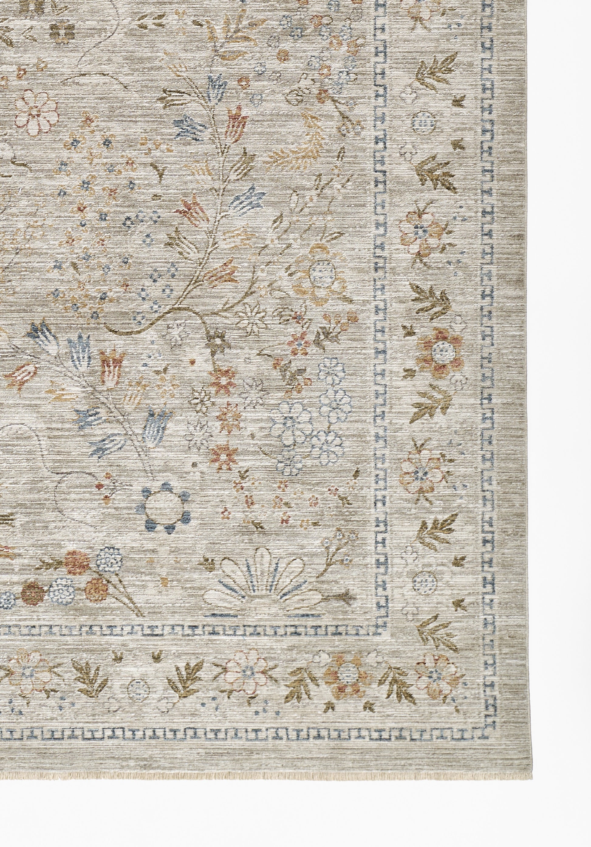 Momeni Georgina   Multi  Traditional