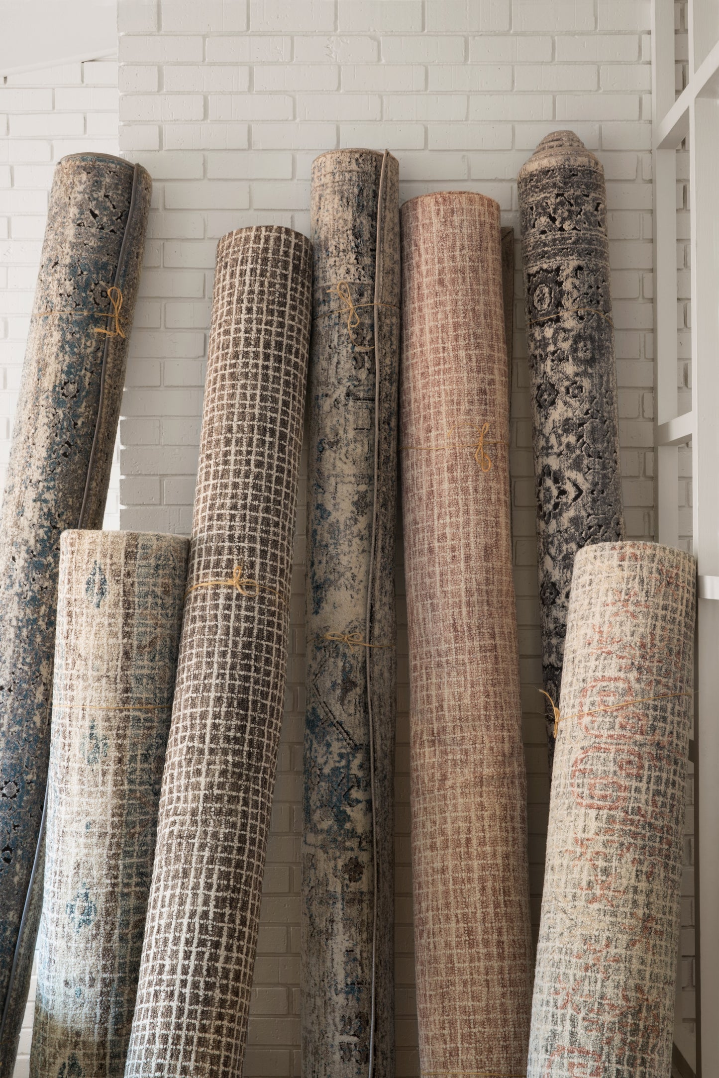 Loloi Giana  Blush  Transitional