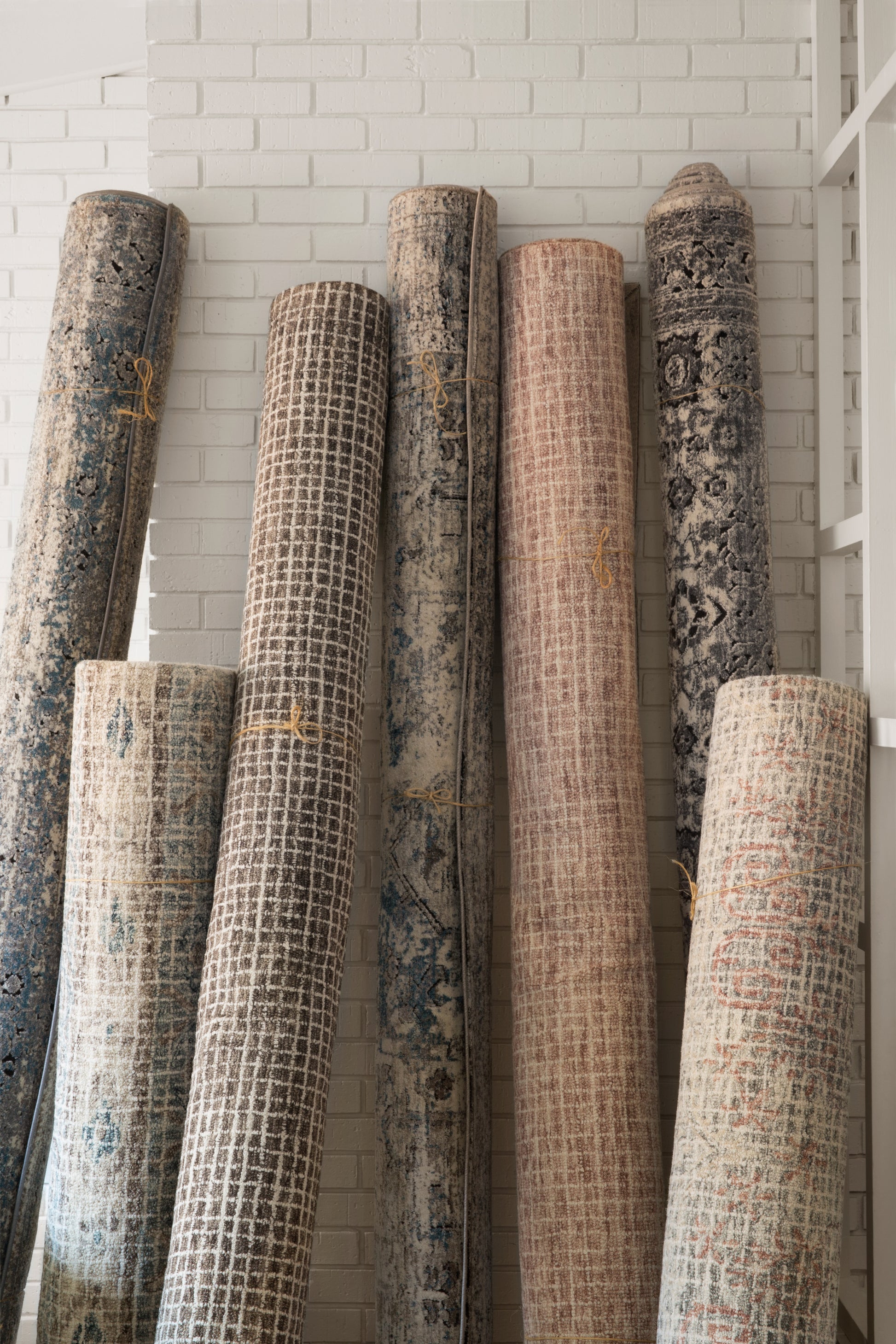 Loloi Giana  Blush  Transitional