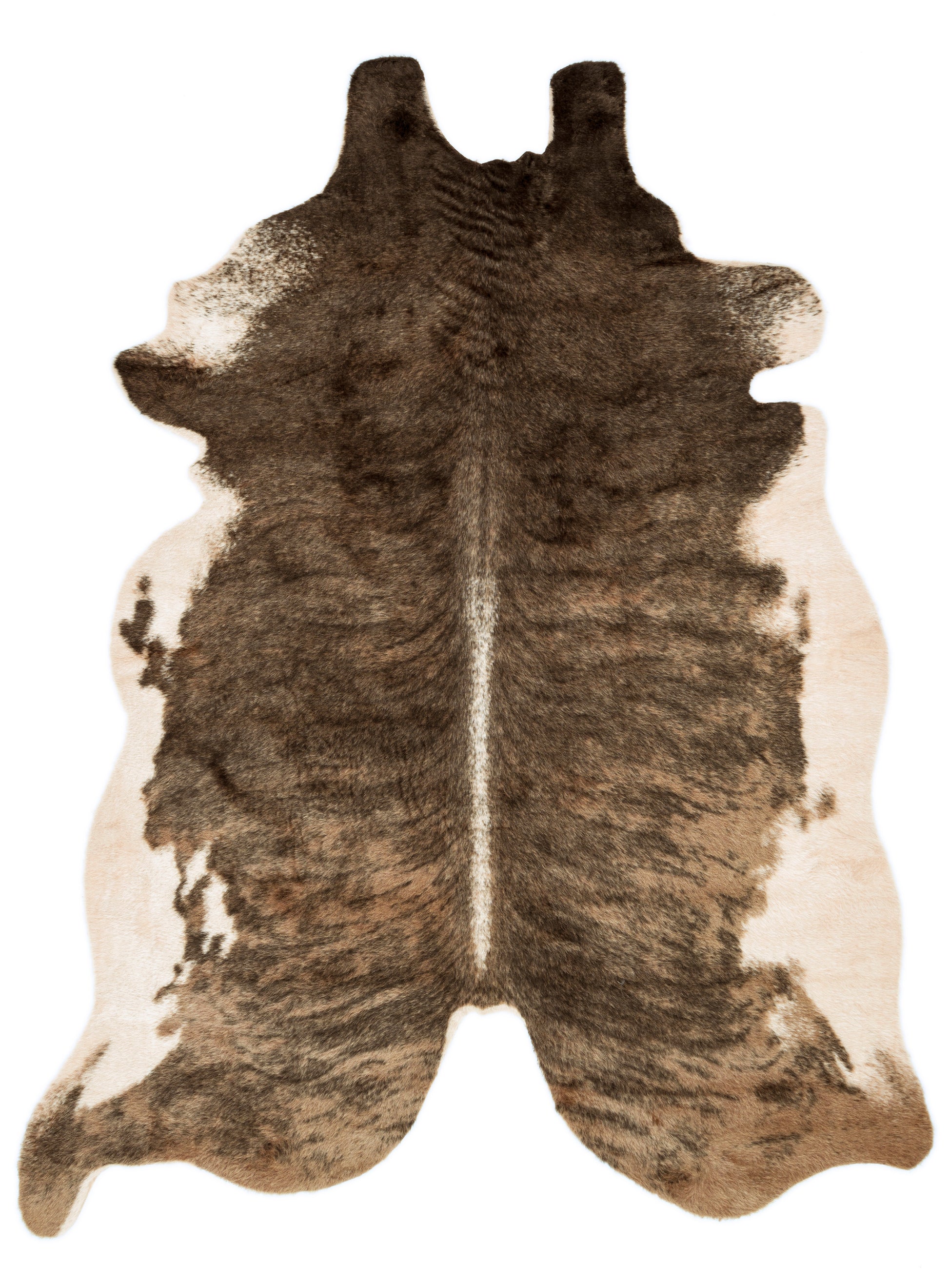 Loloi II Grand Canyon  Camel Beige Transitional