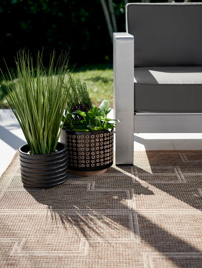 Momeni Hampton  Natural  Transitional