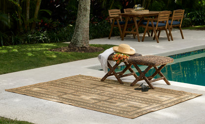 Momeni Hampton  Natural  Transitional