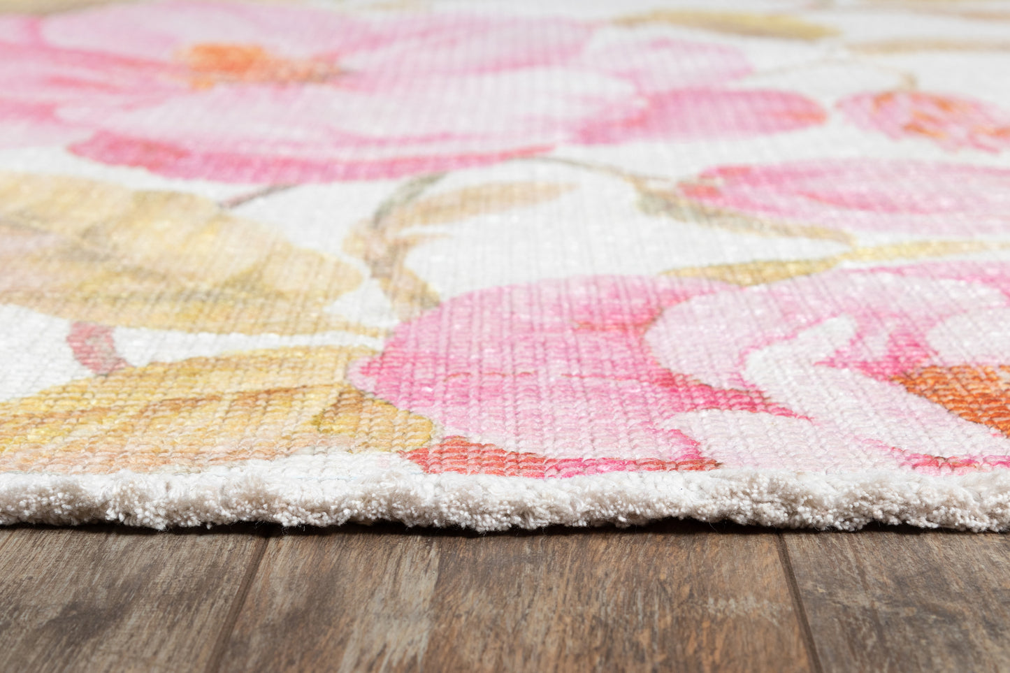 Momeni Helena  Multi  Transitional