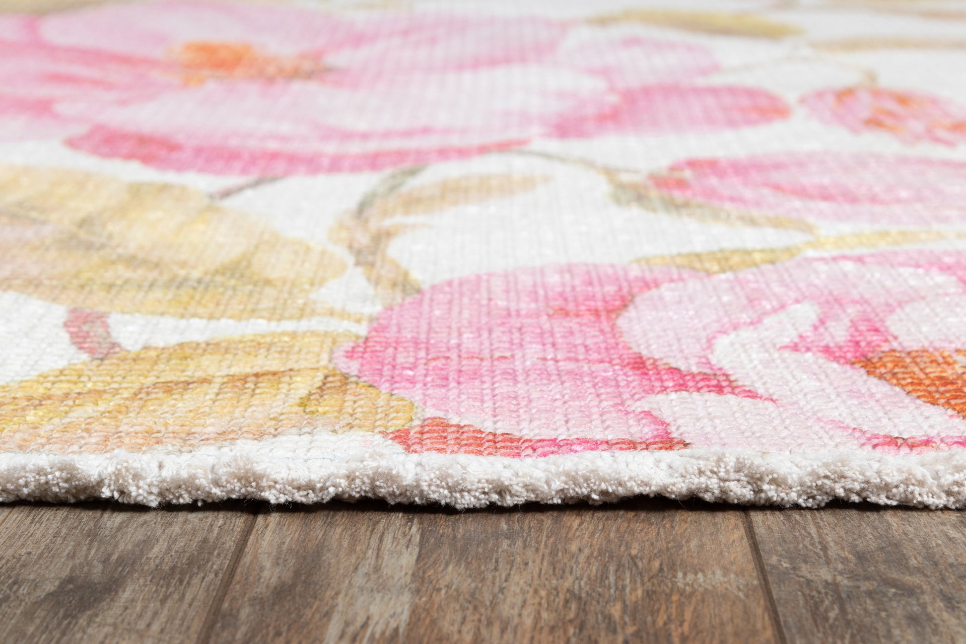 Momeni Helena  Multi  Transitional