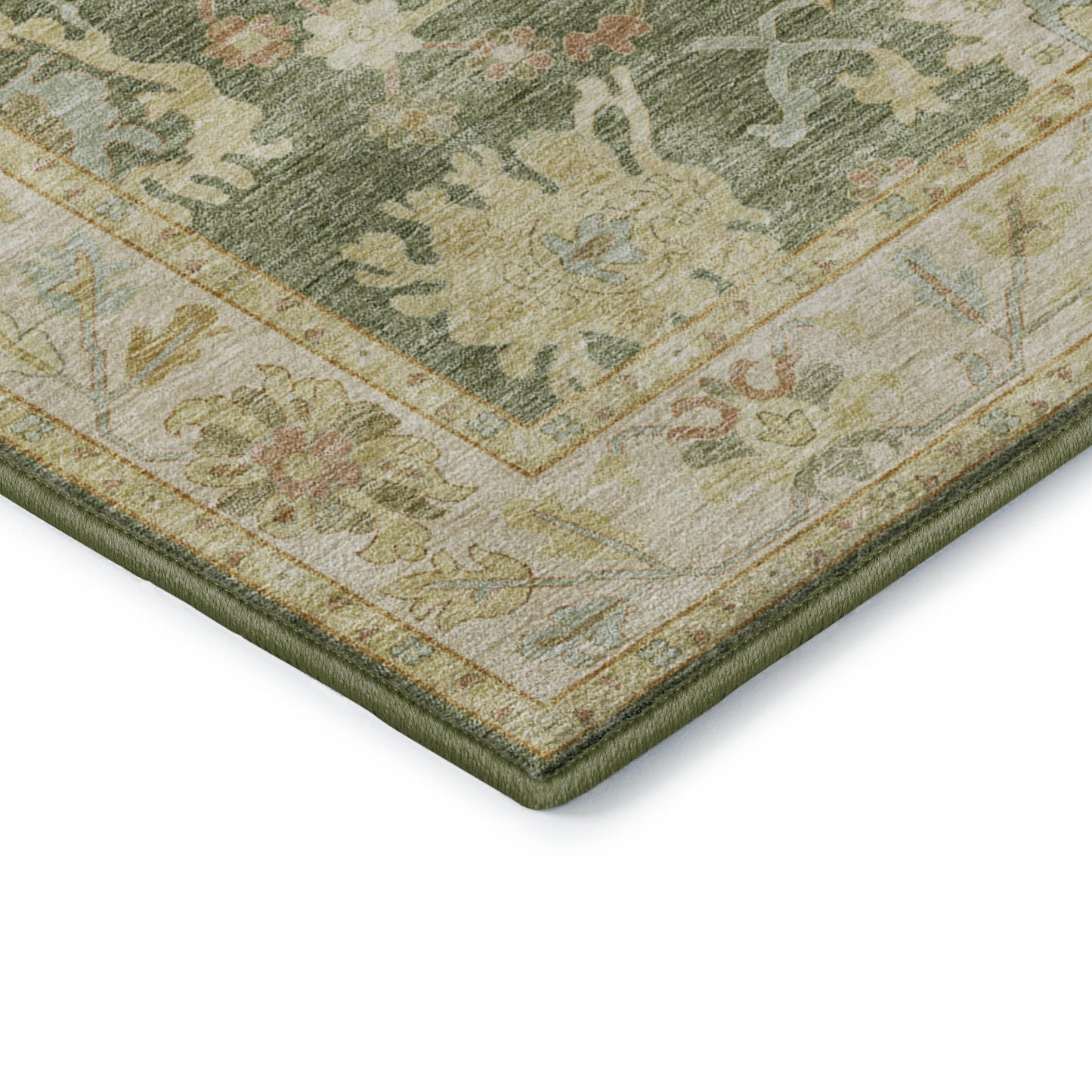 Dalyn Rugs Hatay  Aloe  traditional