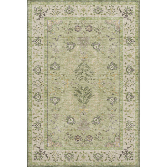 Dalyn Rugs Hatay  Aloe  traditional