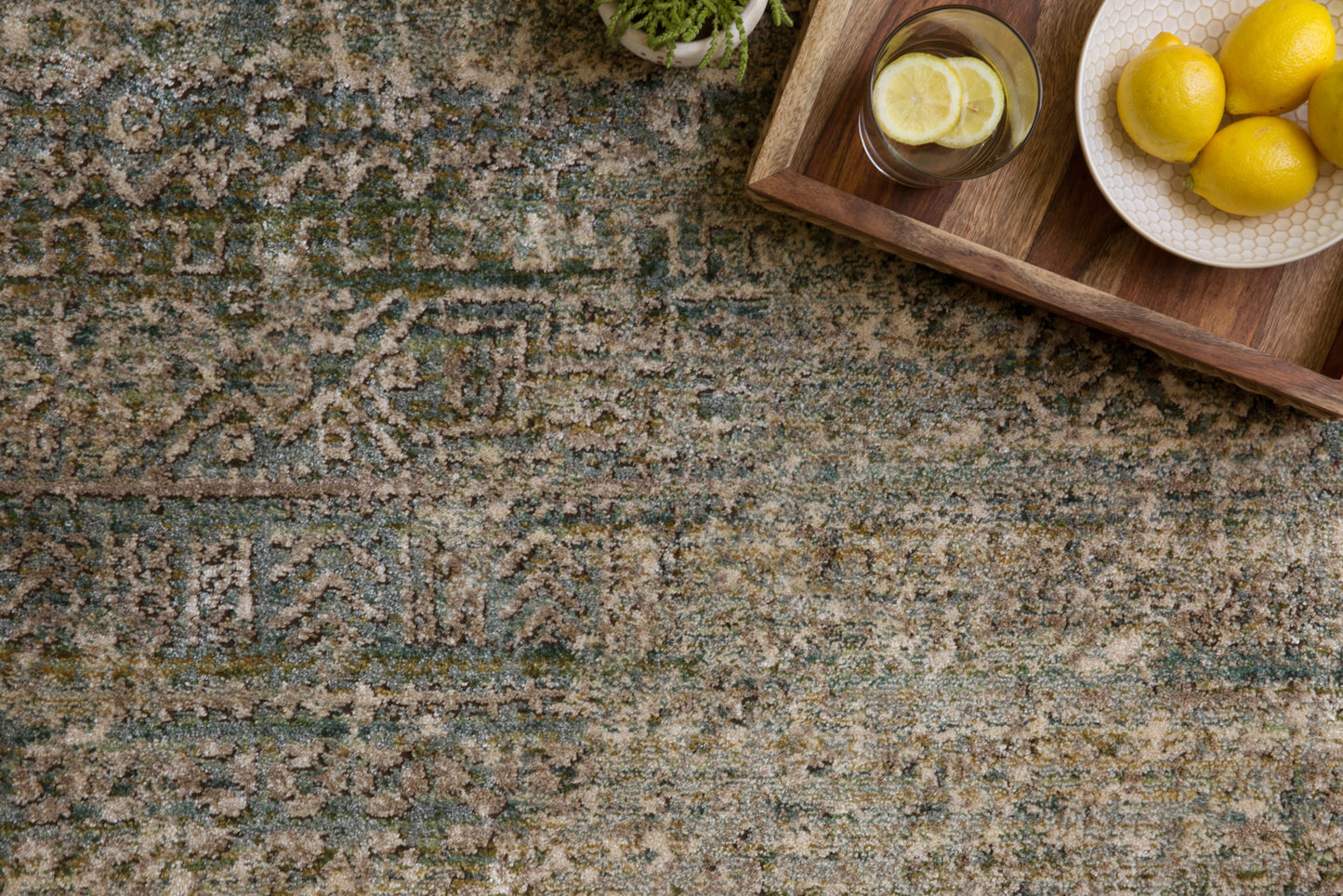 Loloi Javari  Ivory Sea Contemporary