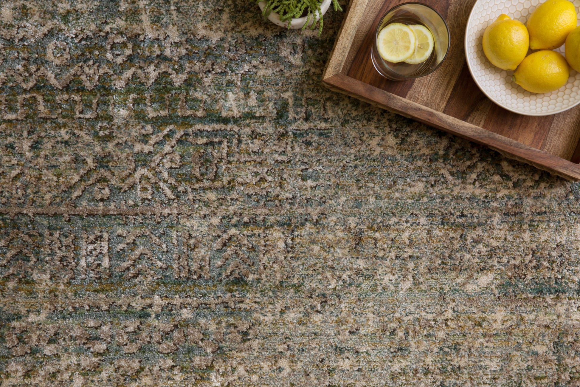 Loloi Javari  Ivory Sea Contemporary