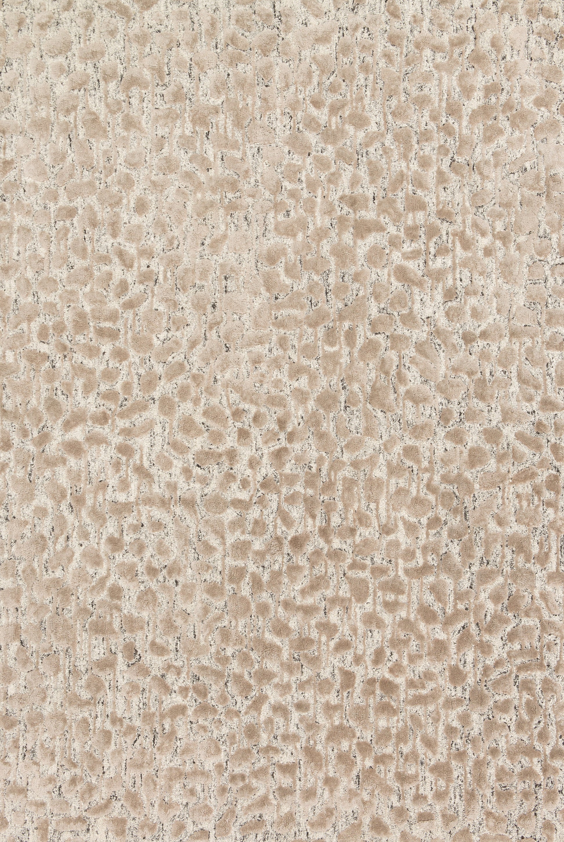 Loloi Juneau  Ash Taupe Contemporary