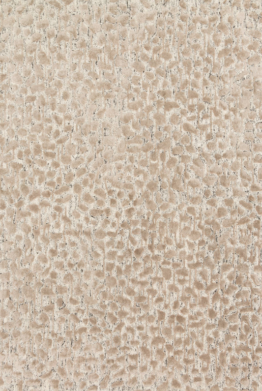 Loloi Juneau  Ash Taupe Contemporary