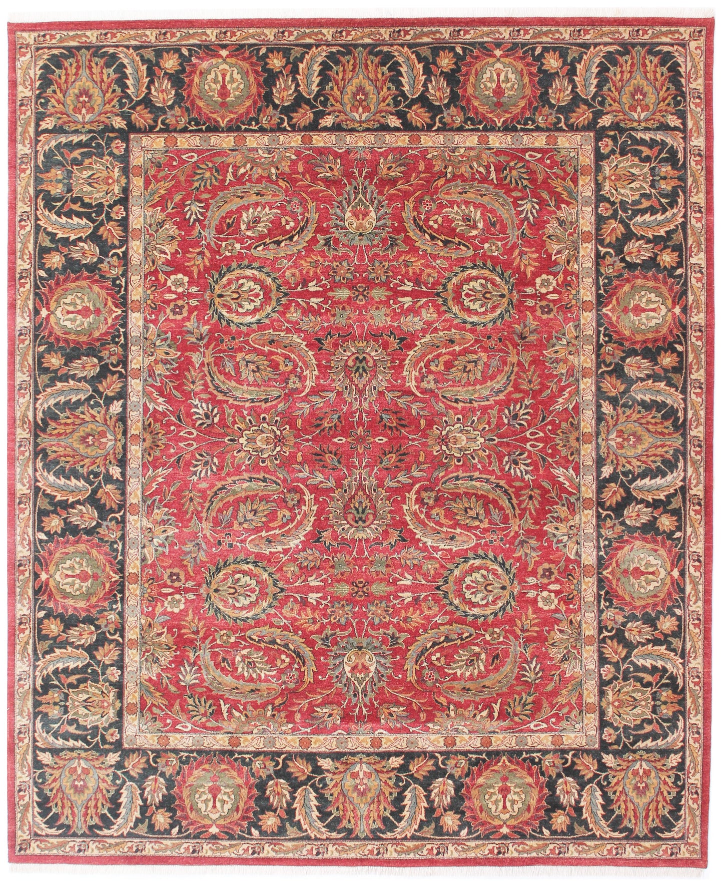 Anjani Carpets Hazi Zalili Jaipur 16 Red Black Persian Hand Knotted Rugs