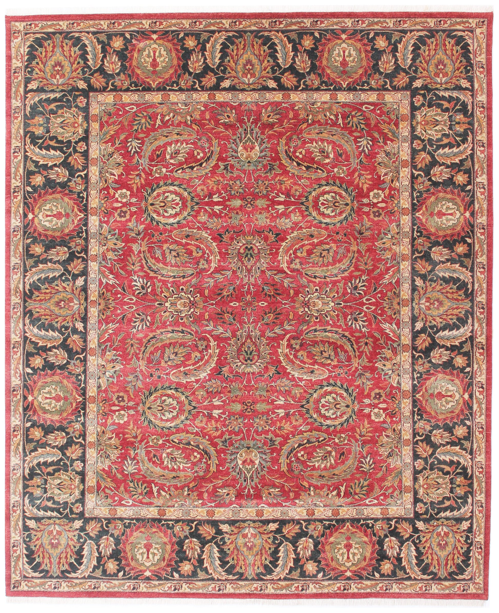 Anjani Carpets Hazi Zalili Jaipur 16 Red Black Persian Hand Knotted Rugs