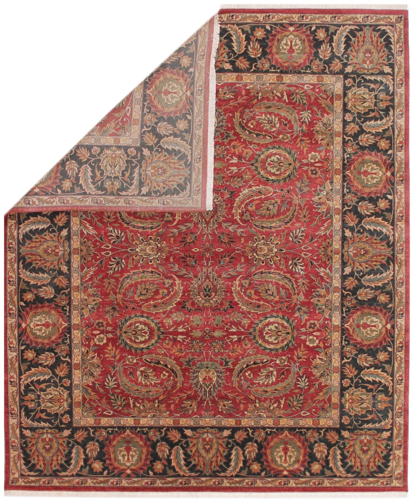 Anjani Carpets Hazi Zalili Jaipur 16 Red Black Persian Hand Knotted Rugs