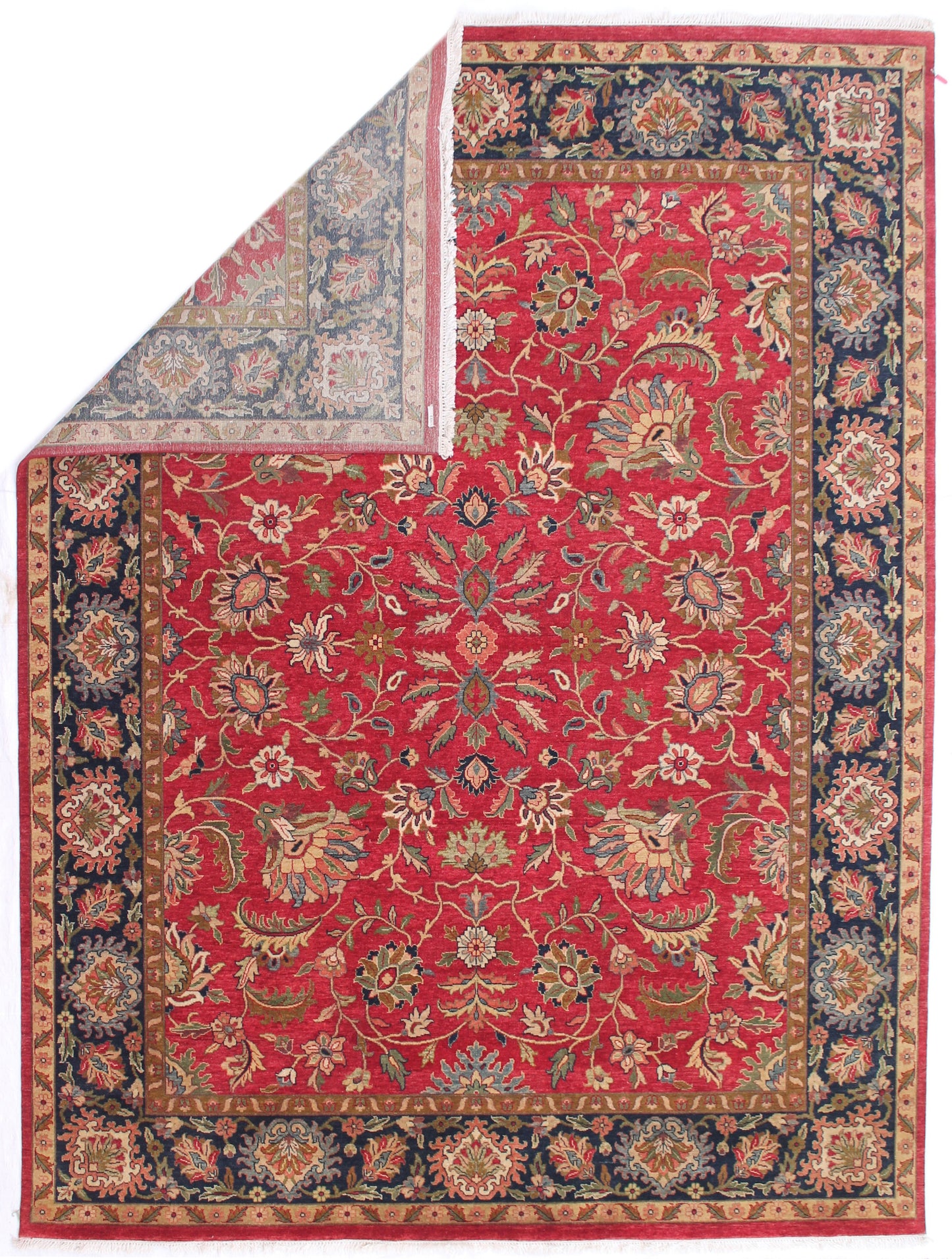 Jaipur Jaipur 18 Red Blue