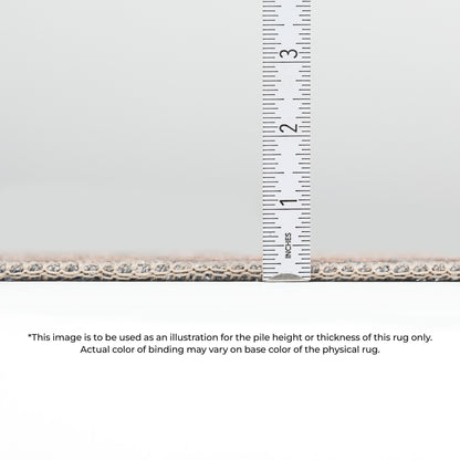 Dalyn Rugs Kars  Ink  Traditional