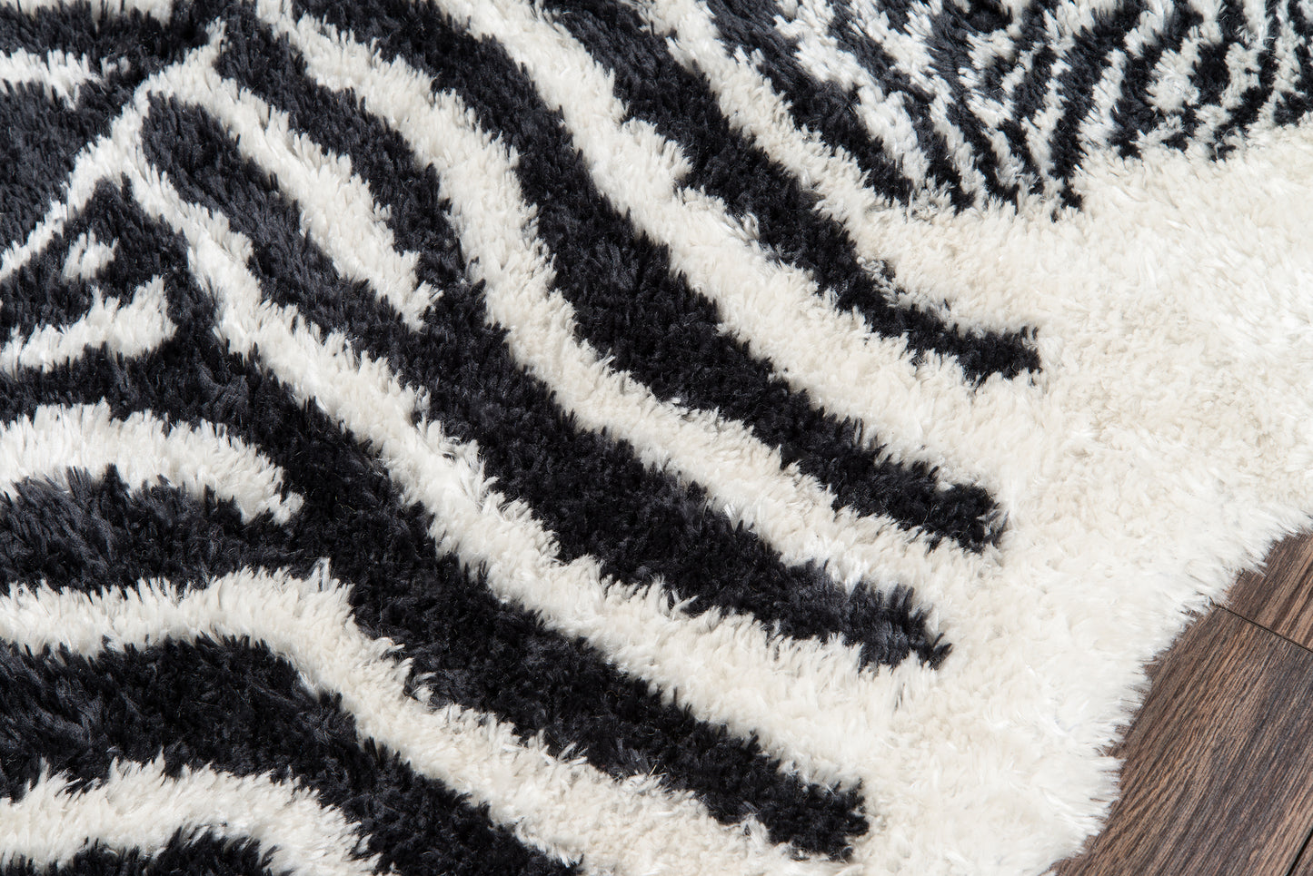 Novogratz Kalahari  Black  Contemporary